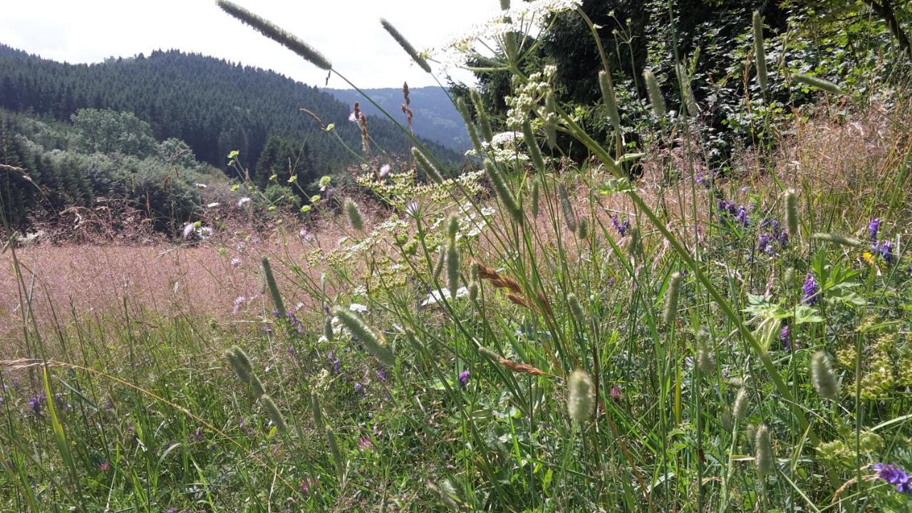 Ferienwohnung Mia Winterberg Esterno foto