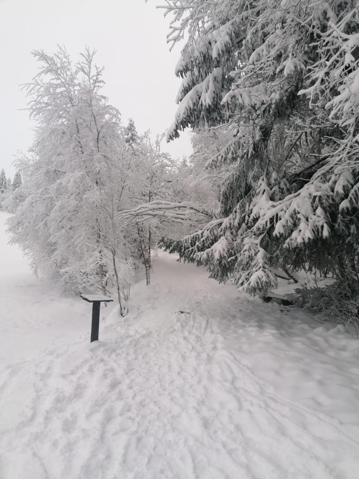 Ferienwohnung Mia Winterberg Camera foto